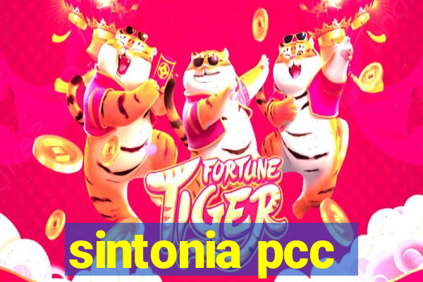 sintonia pcc